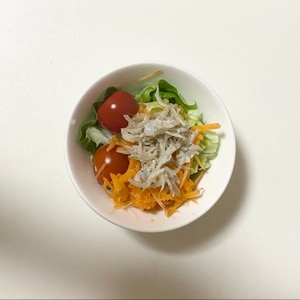 トマト豆腐しらすの栄養サラダ